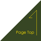 Page Top